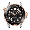 Seamaster 210.22.42.20.01.002-42MM - Image 4