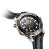 Seamaster 210.22.42.20.01.002-42MM - Image 3